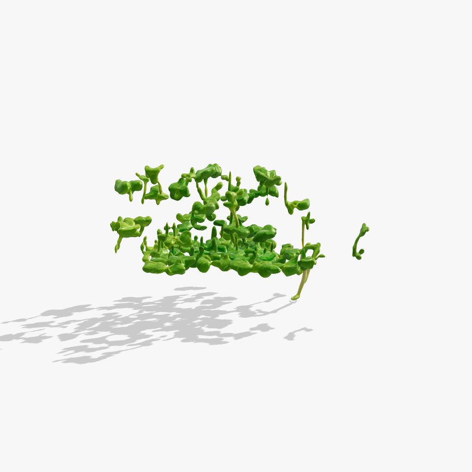 Fresh Watercress Leaf Textures model pack